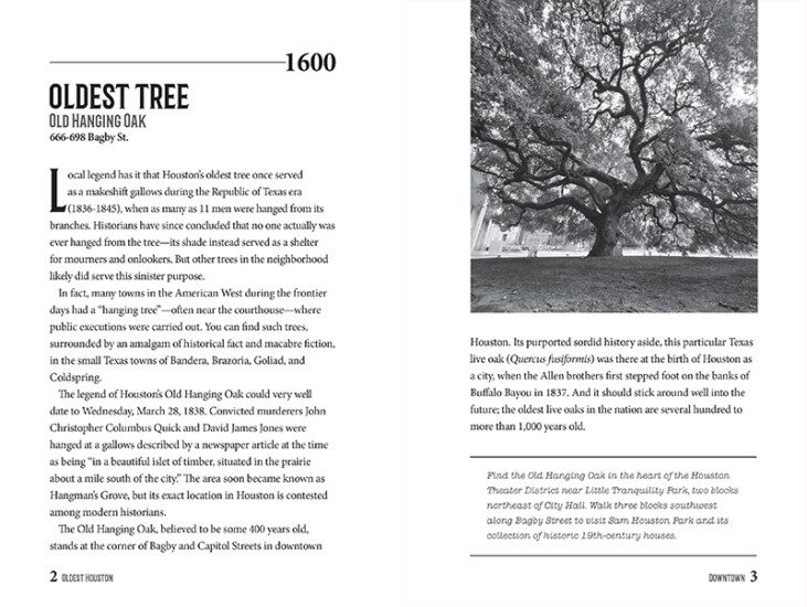 Oldest Houston – Reedy Press
